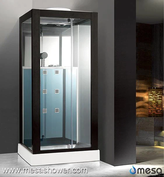 Crna obojena aluminijumski okvir Tuš soba sa pivot vrata